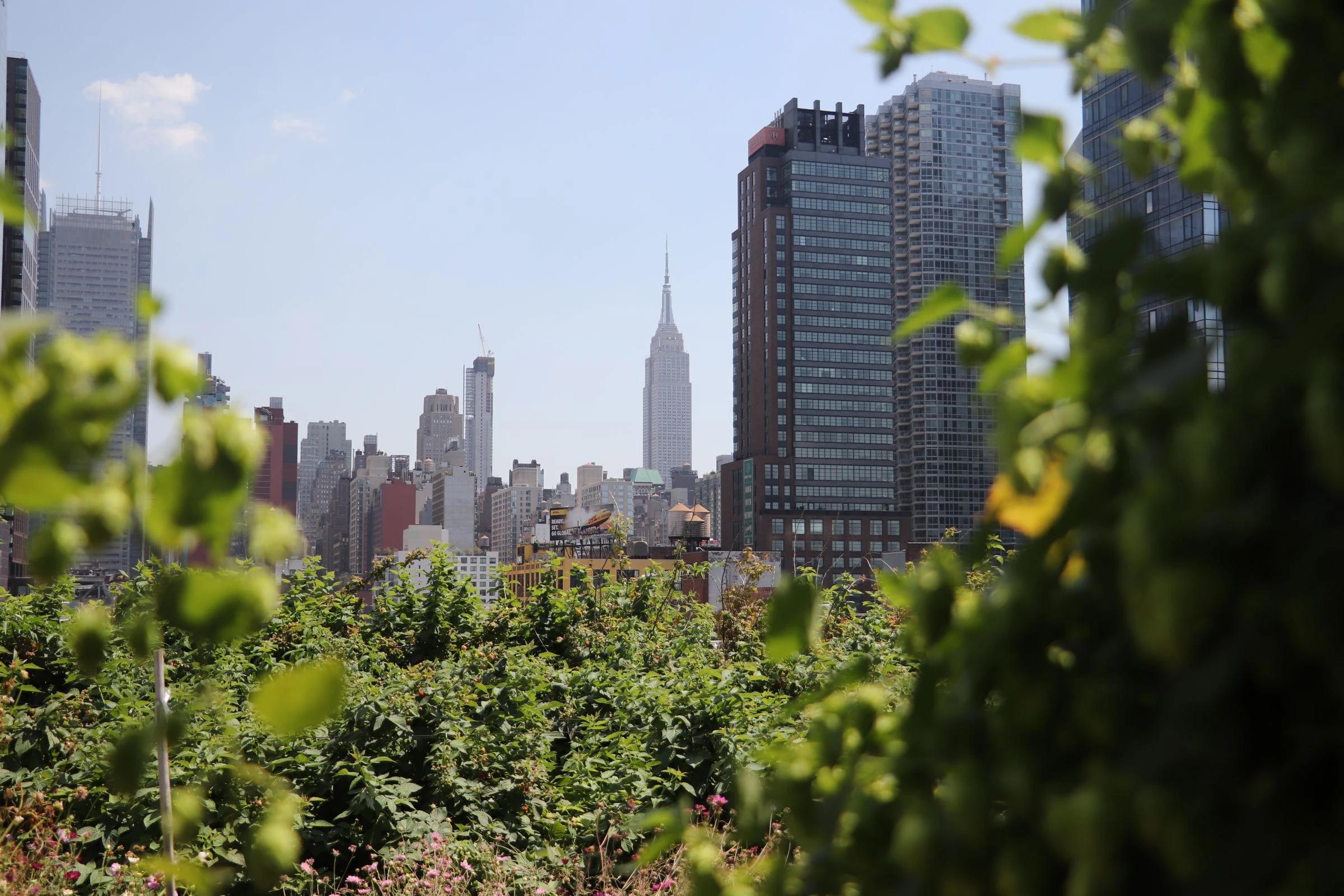 Scale with Responsibility